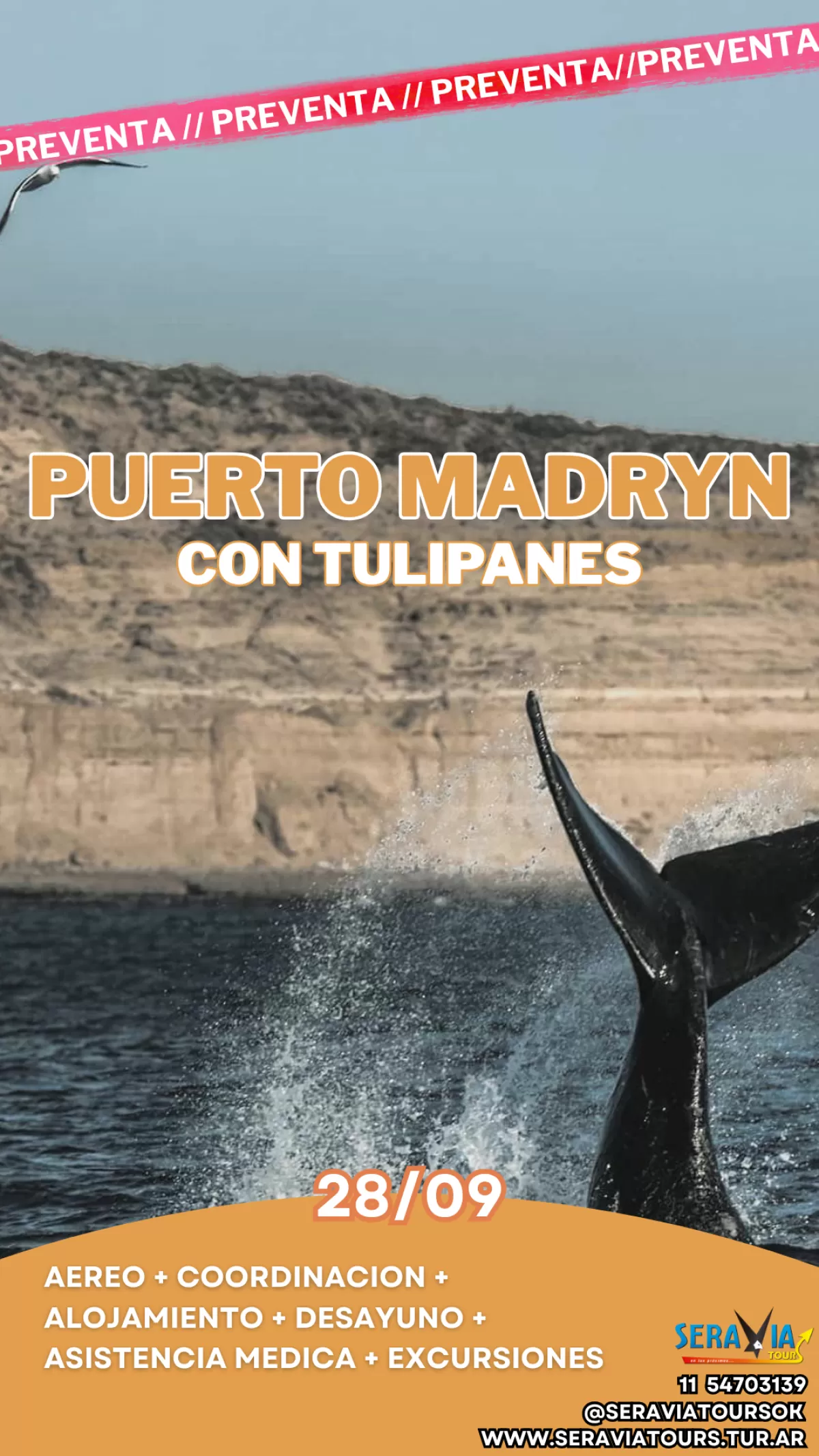 Imagen del lugar para Puerto Madryn con campo de Tulipanes