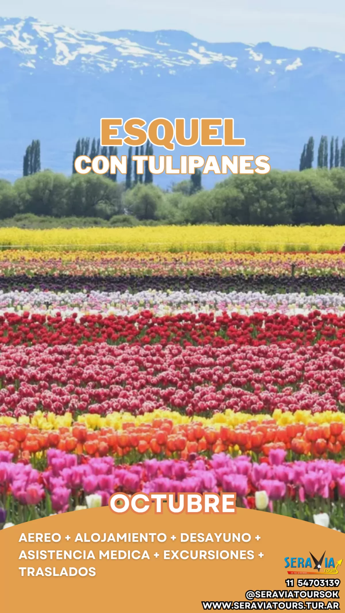 Imagen del lugar para Esquel con Tulipanes