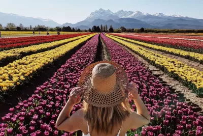 Tulipanes Patagónicos - Aéreo