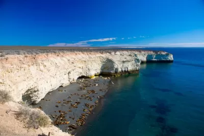 Puerto Madryn con campo de Tulipanes