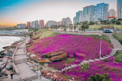 Mar del Plata - Feriado de Agosto 
