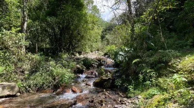 Salta 