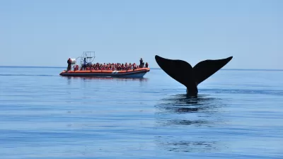 Puerto Madryn - FERIADO de AGOSTO 