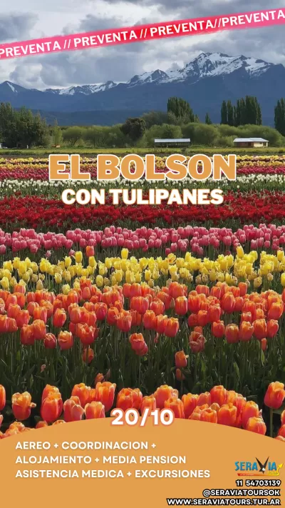 El Bolson con campo de Tulipanes