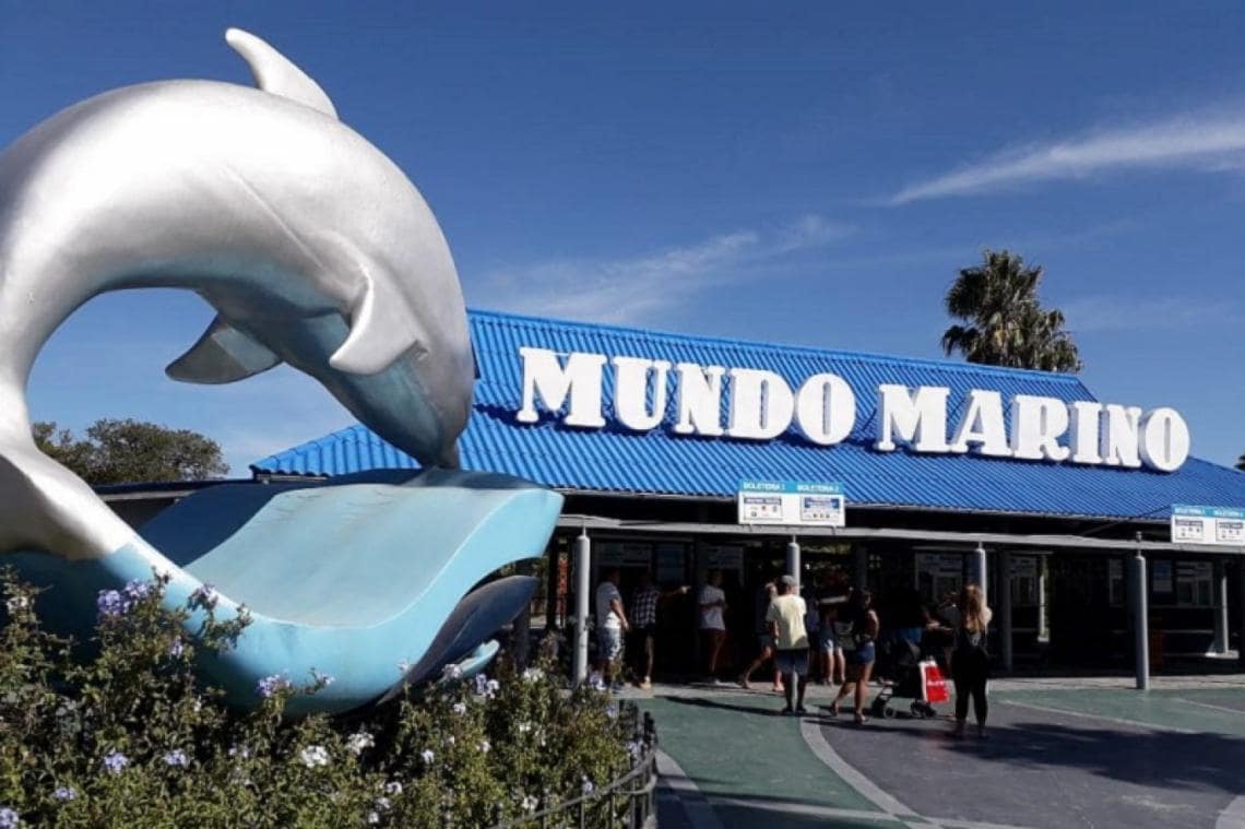 MUNDO MARINO - FEBRERO
